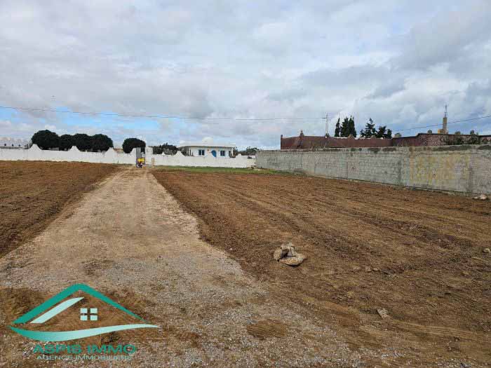 VILLA AVEC PISCINE PRIVÉE À DJERBA - RÉF L740