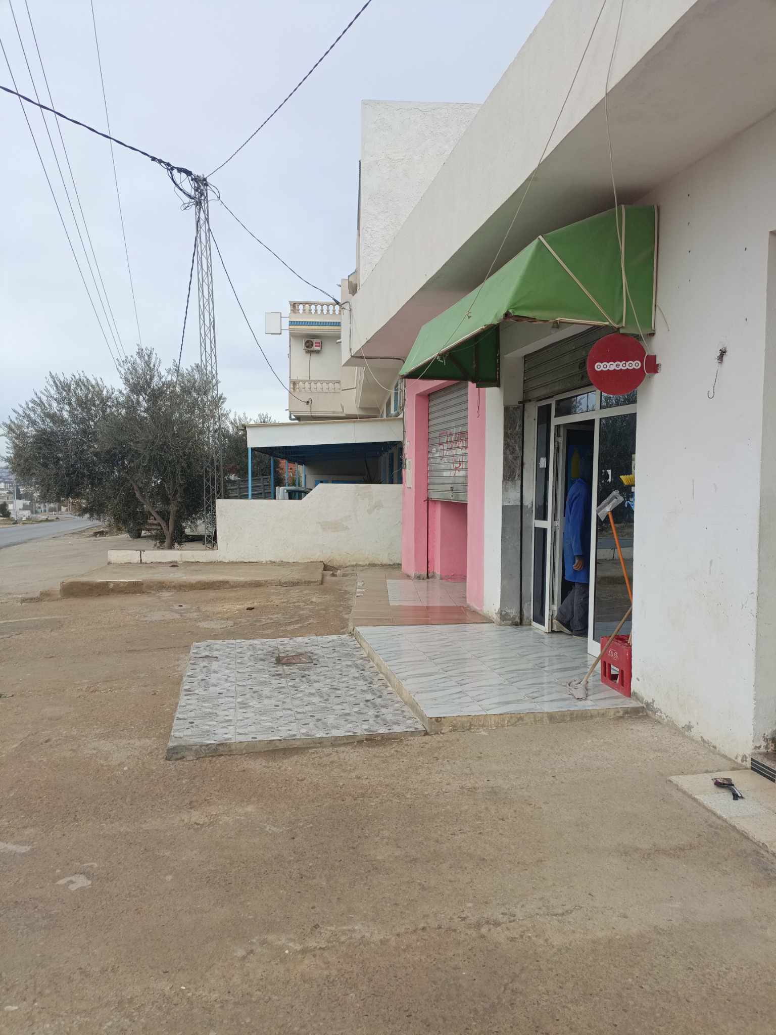  1 hectare planté d'oliviers à Hammamet sud à vendre 51355351 