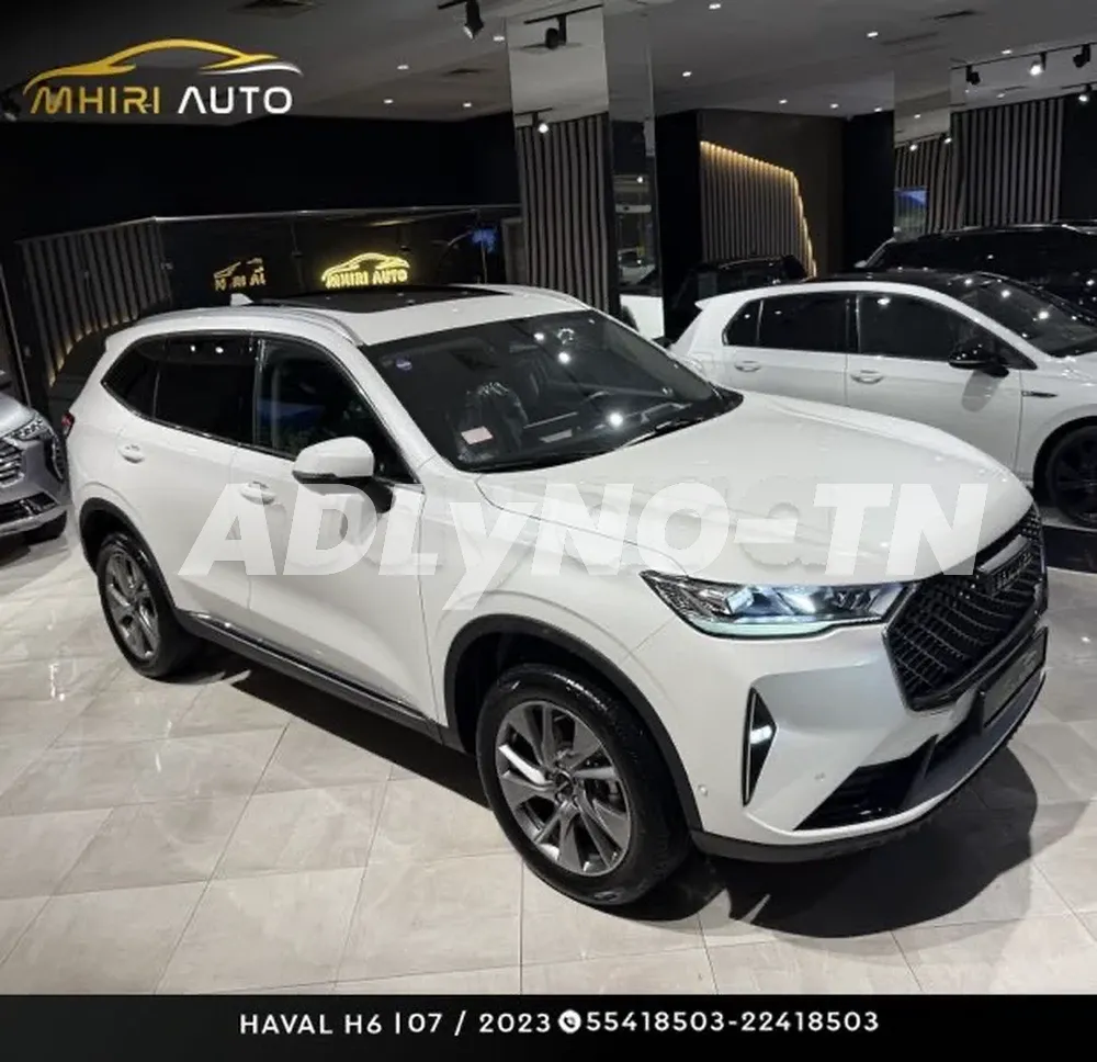 ?HAVAL H6?