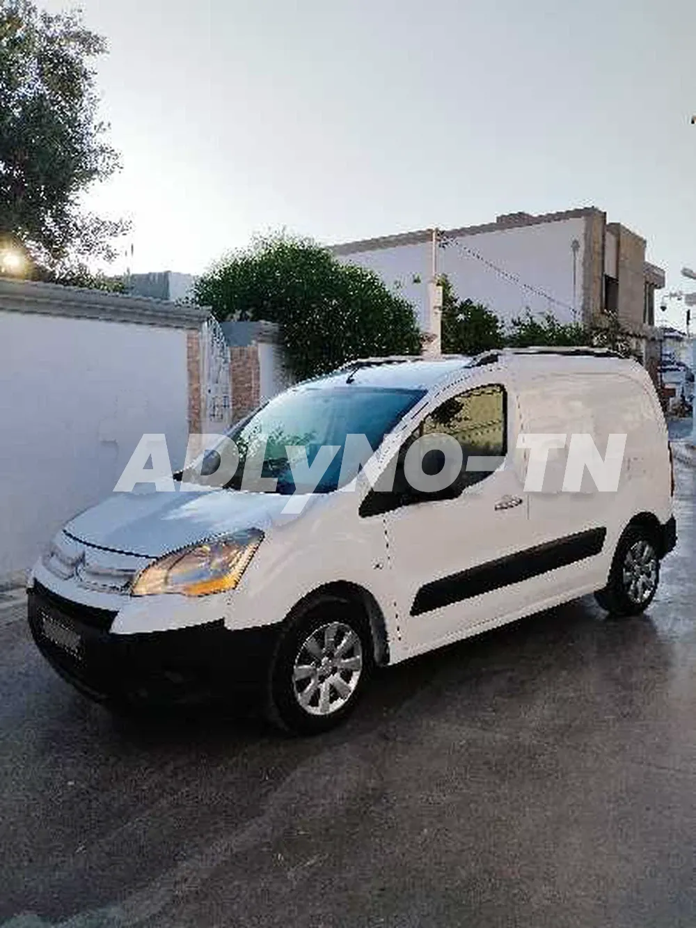 berlingo B9 ?? HDi 51001051