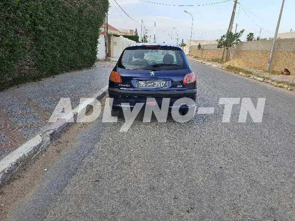 peugeot 206 toute options