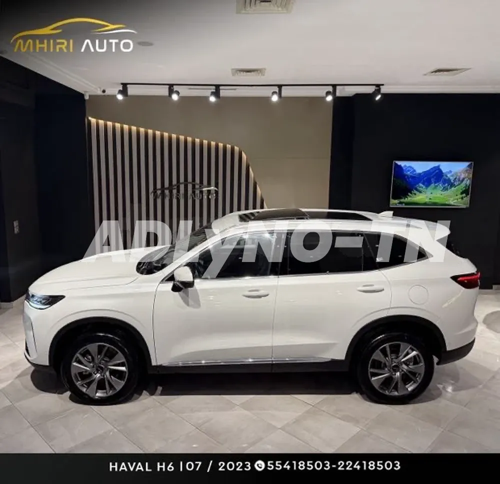 ?HAVAL H6?