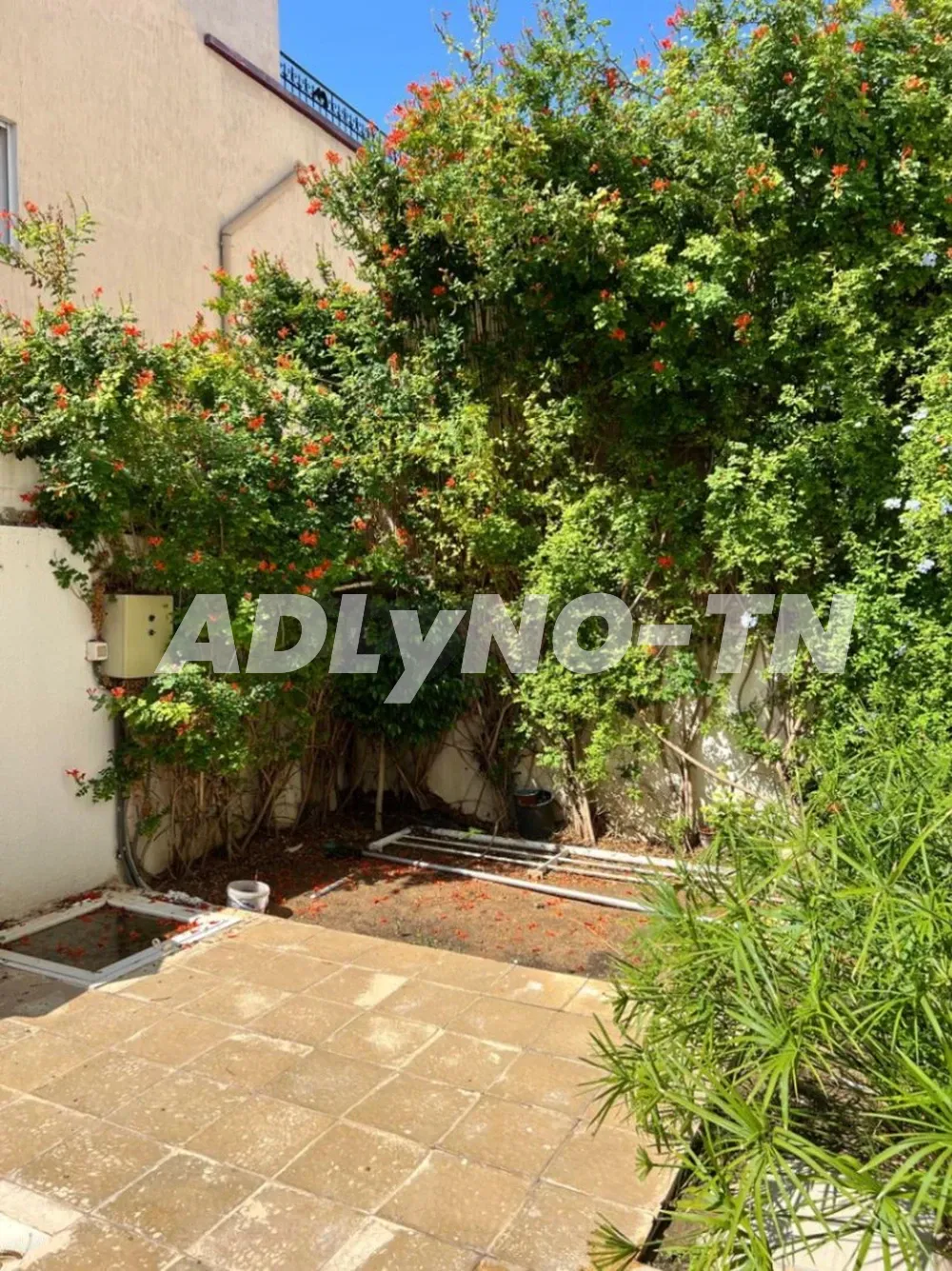    V508 villa adora 1 sidi