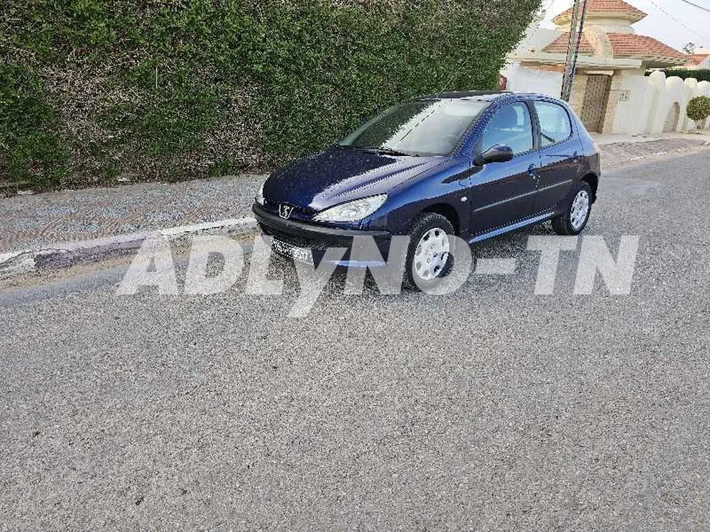 peugeot 206 toute options