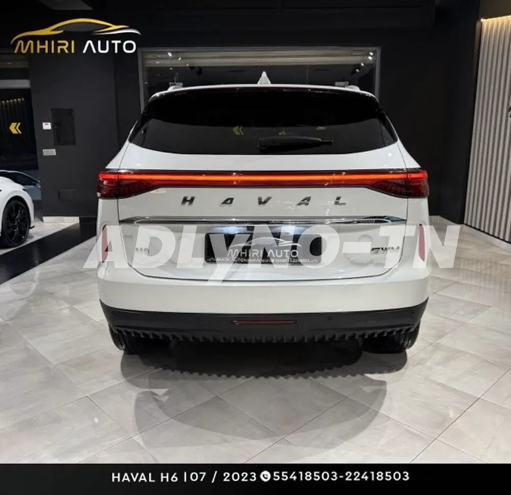 ?HAVAL H6?