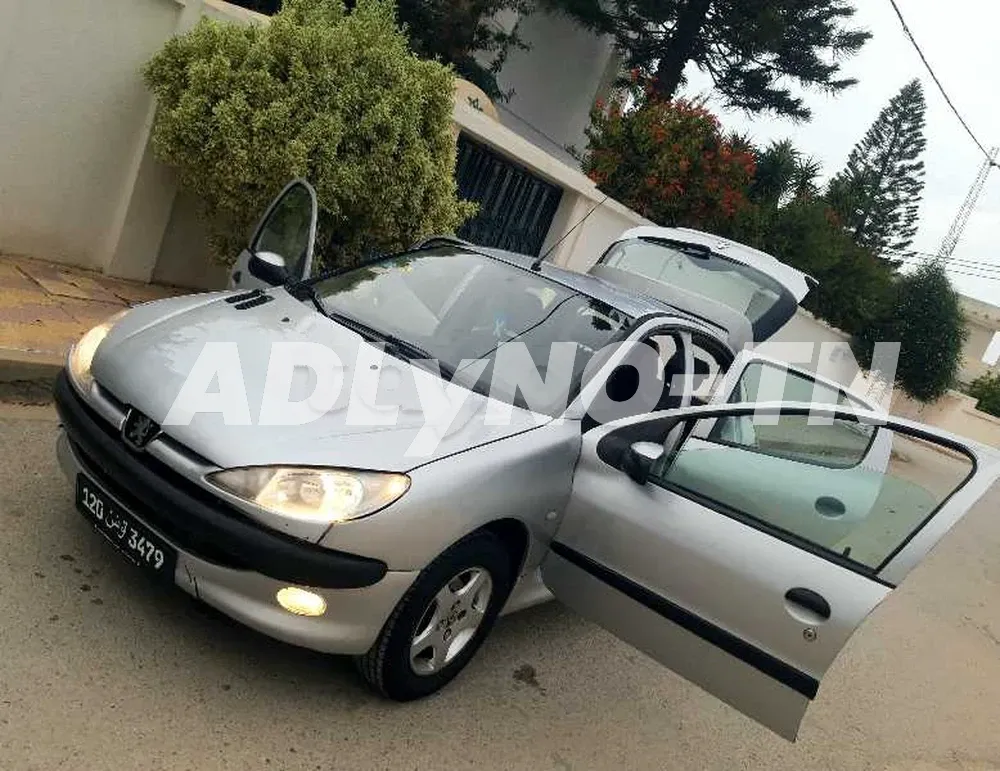 peugeot 206??look?tout option