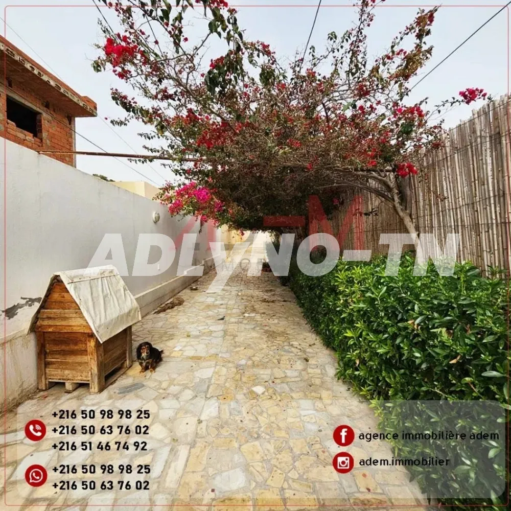  DUPLEX JOY Hammamet Mrezka AV1734 