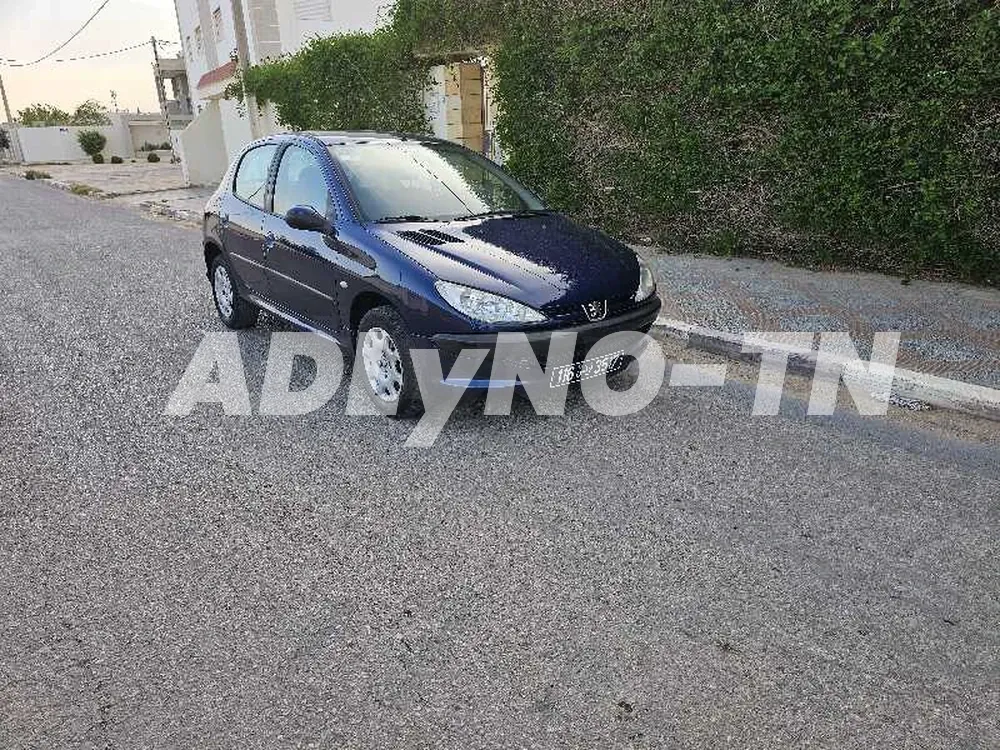 peugeot 206 toute options