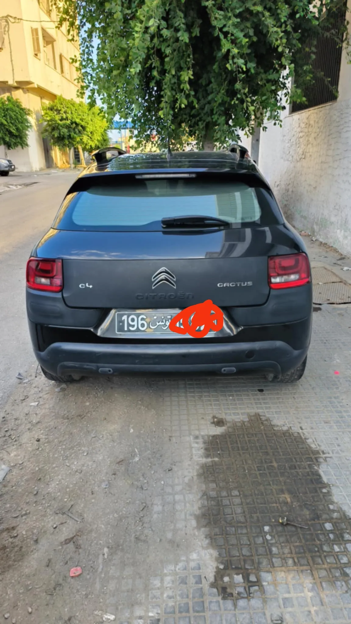 C4 Cactus à vendre