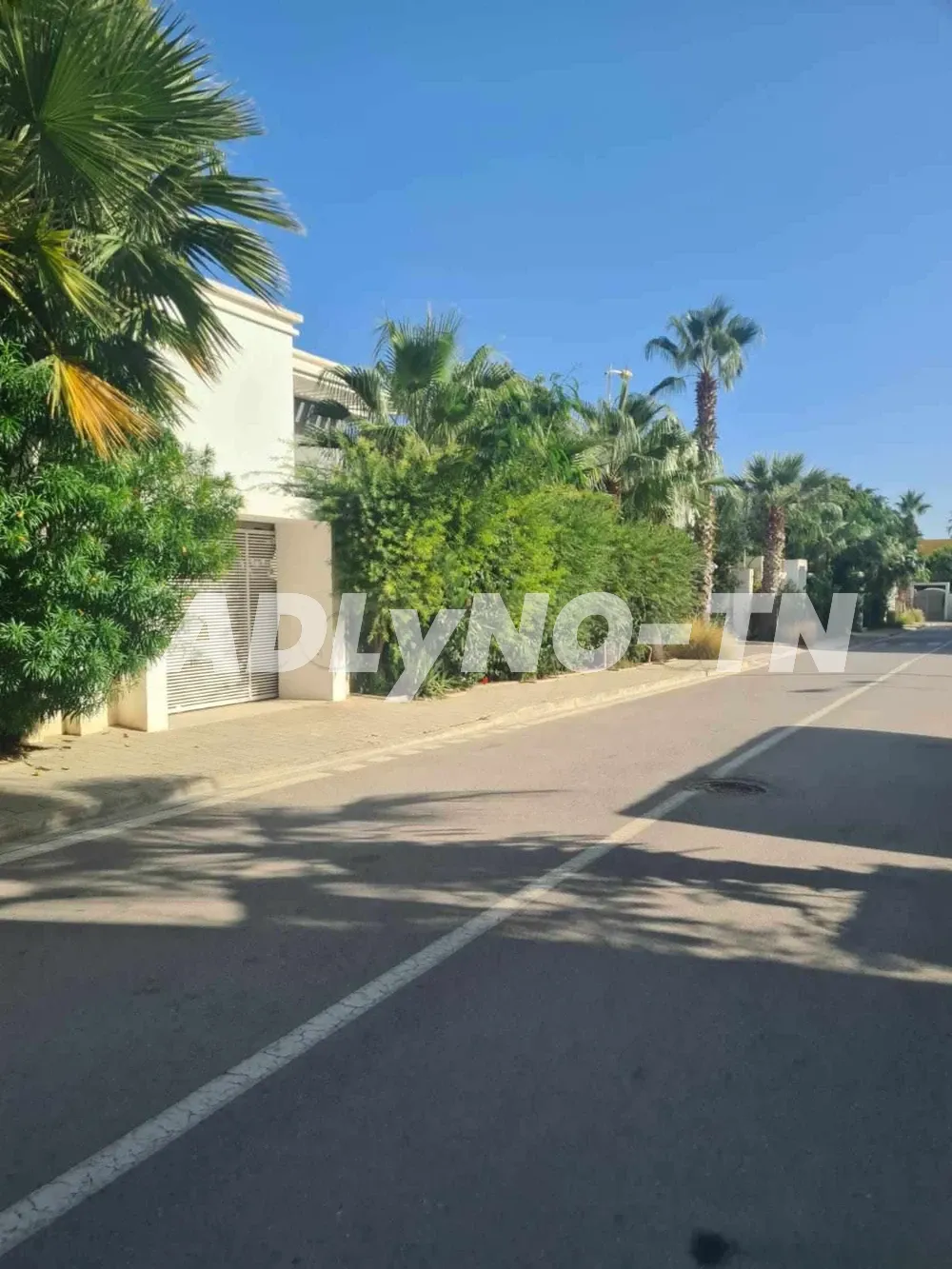  Terrain de 1000 m² à Hammamet Sud à vendre à 185 MD 51355351 