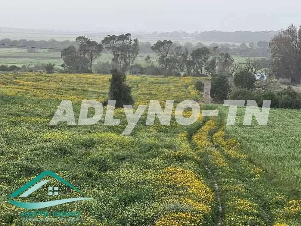 Terrain agricole 50 000 m² à chraf el hawaria