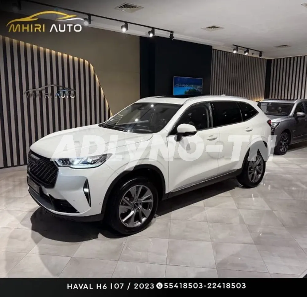 ?HAVAL H6?