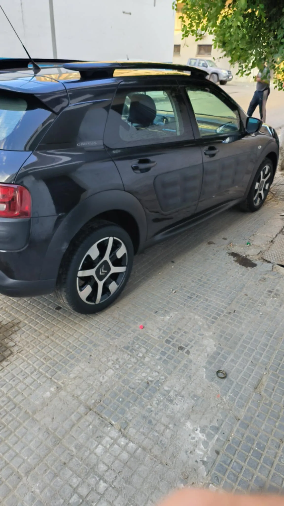 C4 Cactus à vendre