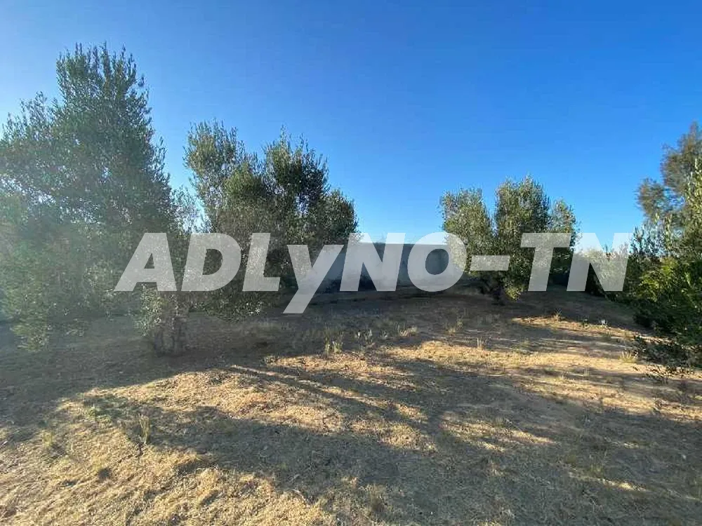 Terrain pour villa dans résidence zone agricole calme