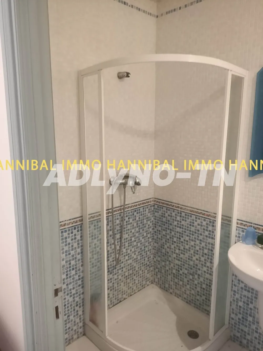 A vendre une belle villa à Carthage Hannibal