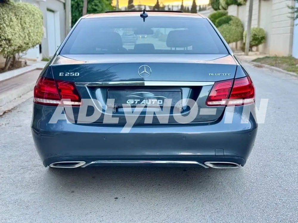 E250 4Matic Bleutec