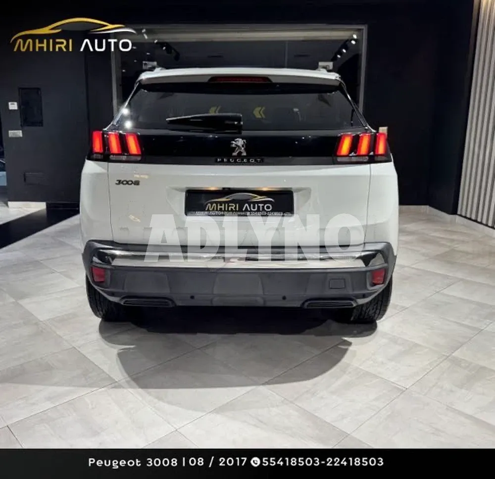 ?Peugeot 3008 ?