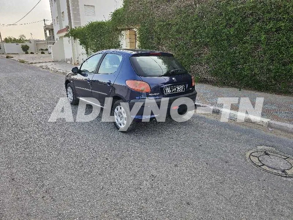 peugeot 206 toute options