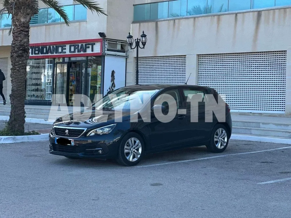 PEUGEOT 308 TT OPTIONS IMPORTE TU 240