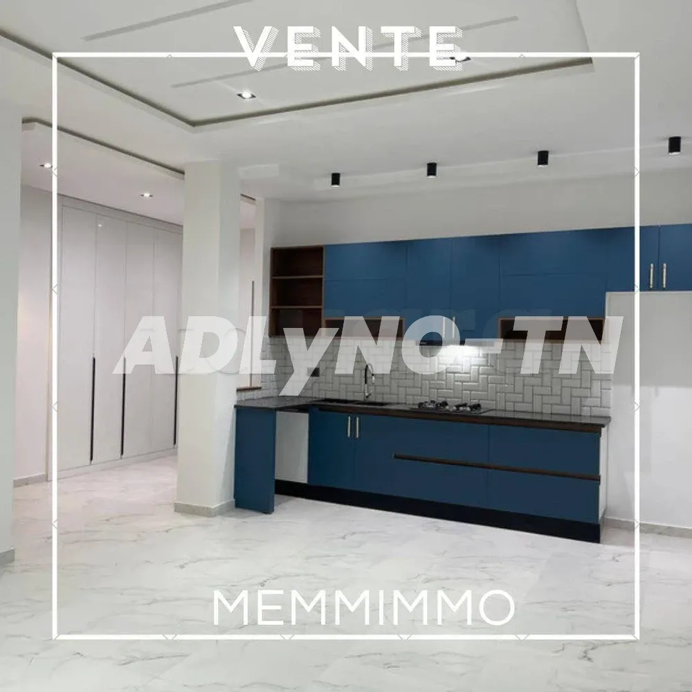    Appartement s1 vide avec