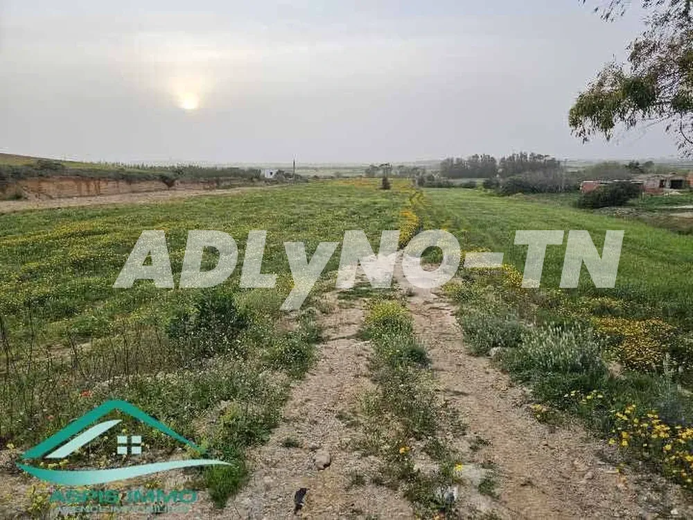 Terrain agricole 50 000 m² à chraf el hawaria