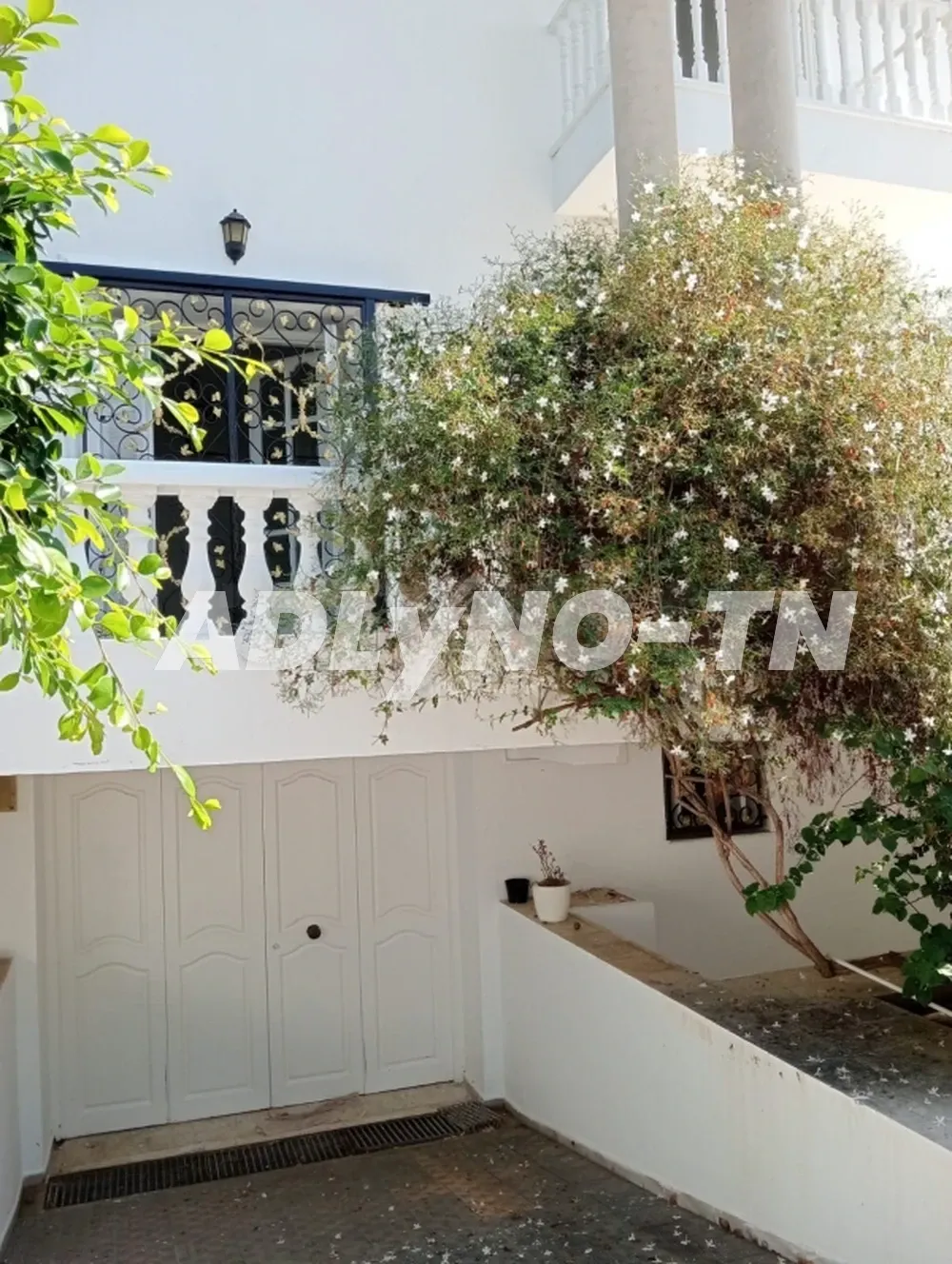 A louer une villa avec jardin à la Marsa