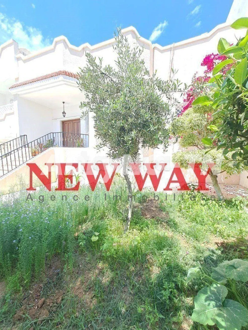  Coquet appartement S+2 à Hammamet à vendre 51355351 