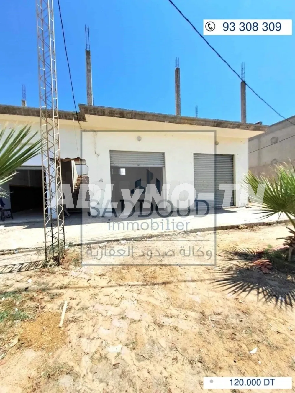  1 hectare planté d'oliviers à Hammamet sud à vendre 51355351 