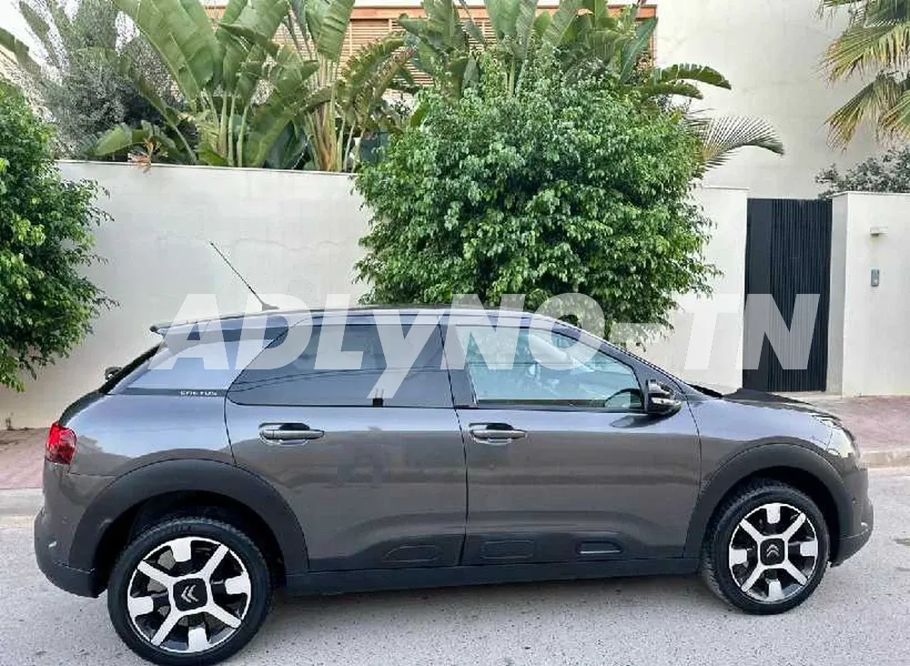 Citroën C4 CacTus Diesel Fin D'série