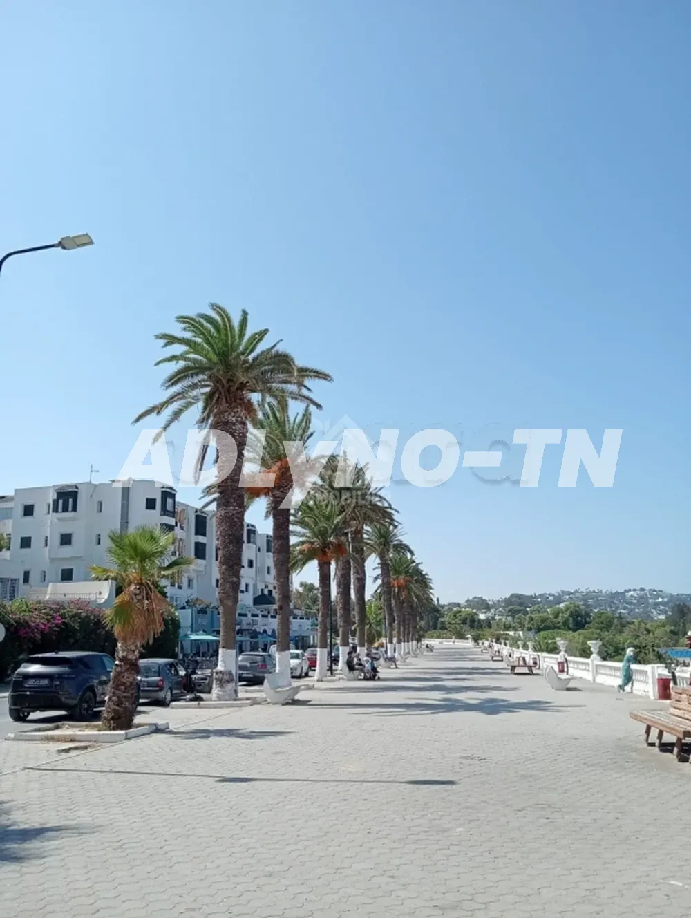 A vendre un magnéfique duplex à la Marsa Plage