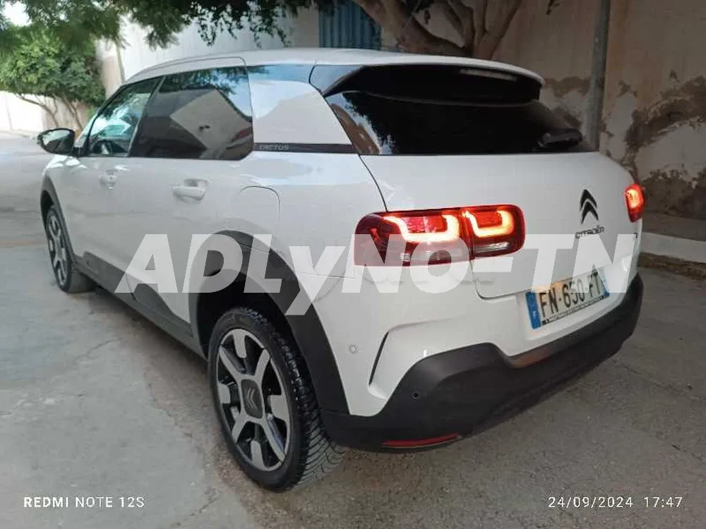 C4 Cactus diesel exclusive