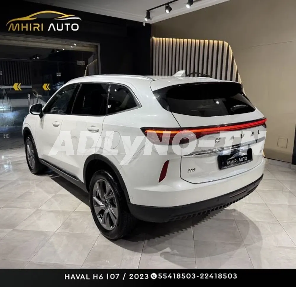 ?HAVAL H6?