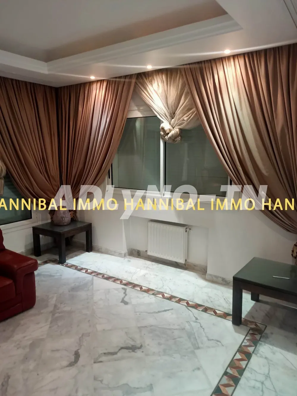 A vendre une belle villa à Carthage Hannibal