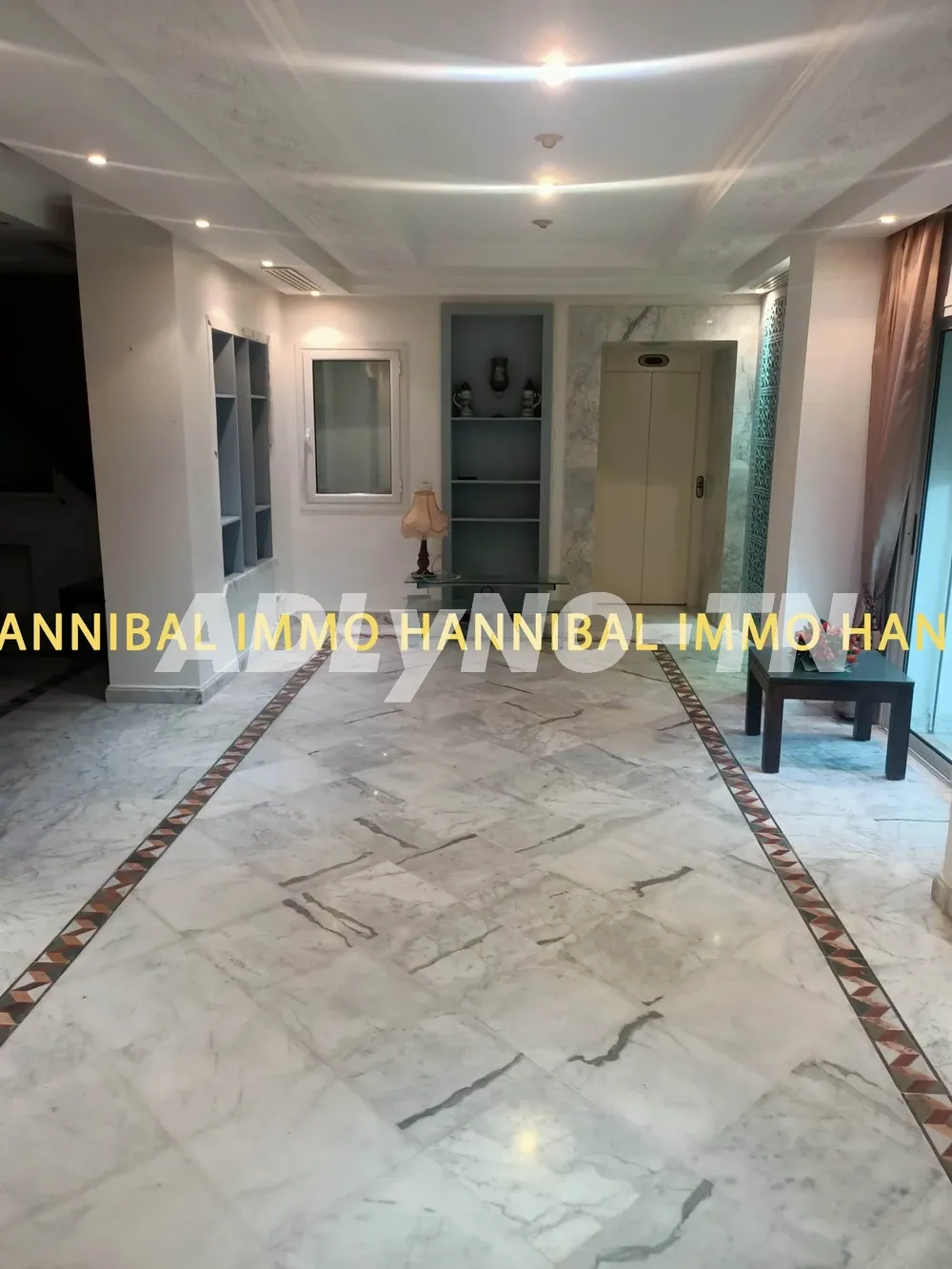 A vendre une belle villa à Carthage Hannibal