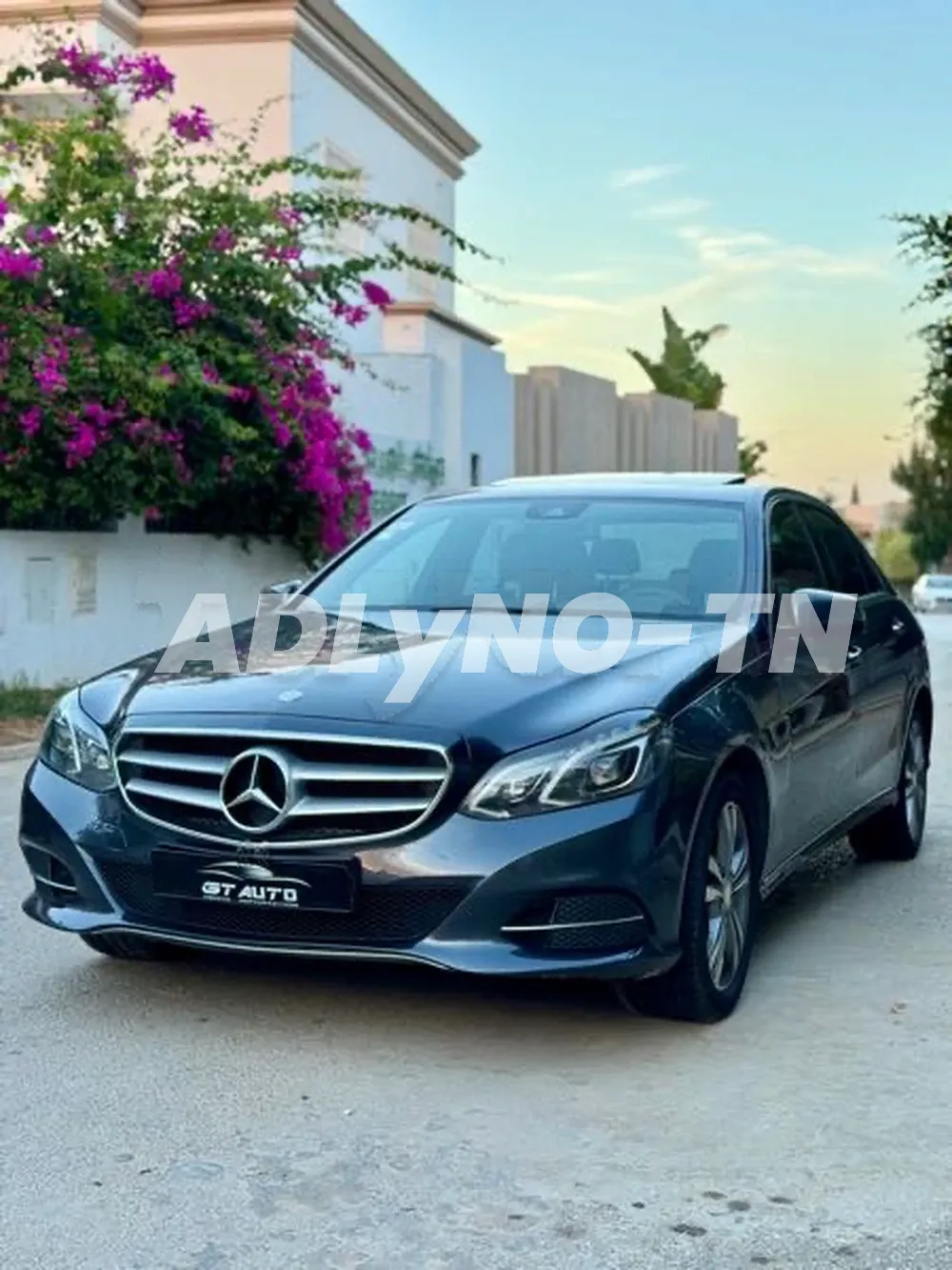 E250 4Matic Bleutec